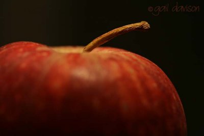 16 February  Red Apple
