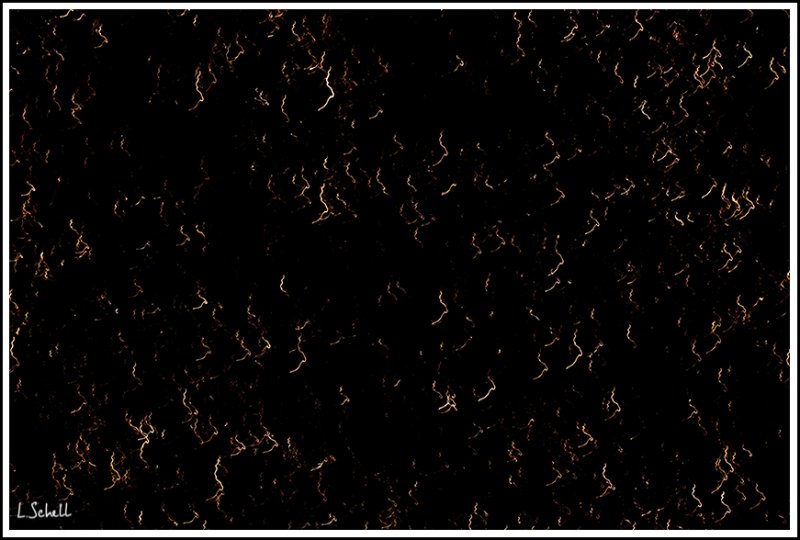 LS1D1270.jpg