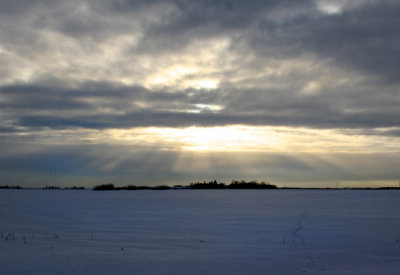 Winter Sunset on the Prairies
