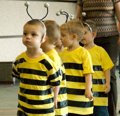 Joyland Obedient Bee Musical