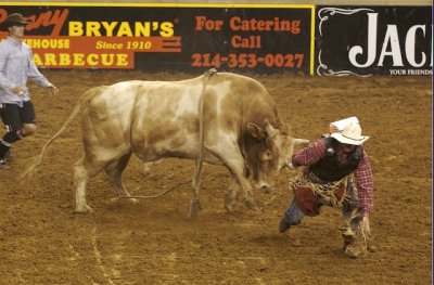 Mesquite Championship Rodeo