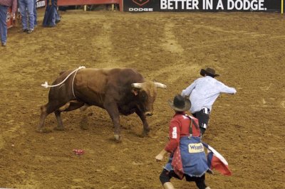 Mesquite Championship Rodeo