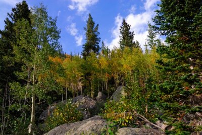 Rocky Mtn NP 10.JPG