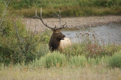 Rocky Mtn NP 12.JPG