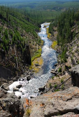 Yellowstone NP 02.JPG