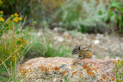 Custer State Park 04.JPG