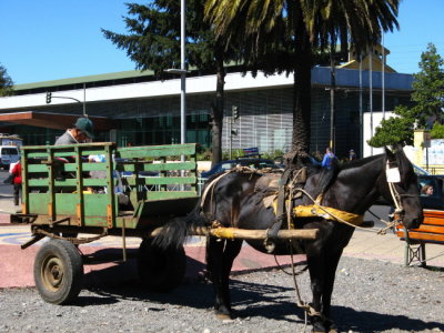 March de Temuco