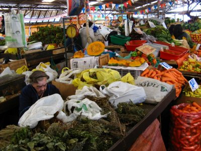 March de Temuco