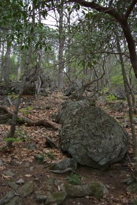 Appalachian Trail.DHH.JPG