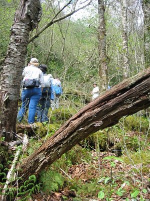 Brasstown Bald Boulderfield 4.BJH.jpg