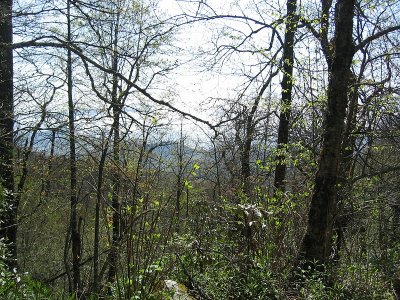Brasstown Bald.BJH.jpg