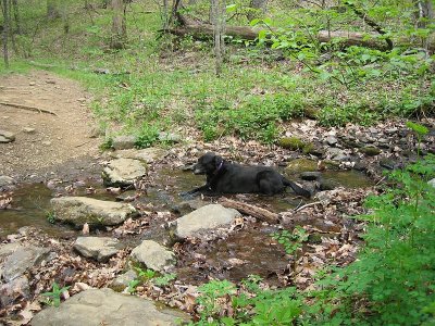 Slaughter Gap Trail 11.BJH.jpg