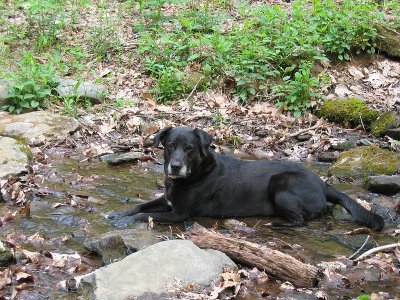 Slaughter Gap Trail 12.BJH.jpg