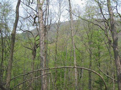Slaughter Gap Trail 6.BJH.jpg