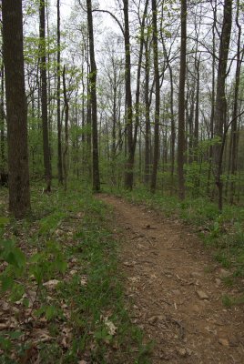 Slaughter Gap Trail12.DHH.JPG