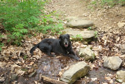 Slaughter Gap Trail8.DHH.JPG