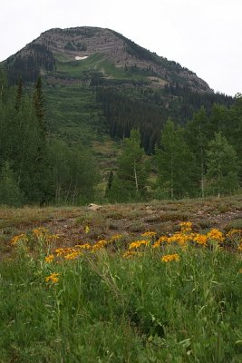 CrestedButte_07_009.jpg