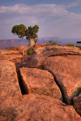 DeadHorsePointSP_07_026.jpg