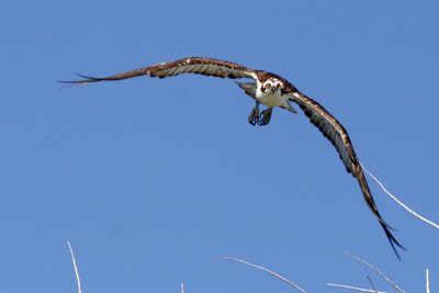 _MG_7772 small.jpg