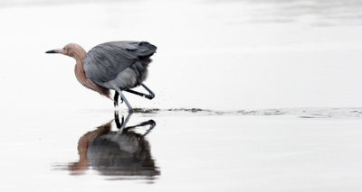 _MG_2488 small.jpg