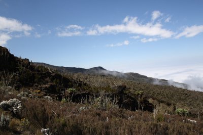 IMG_0641.JPG