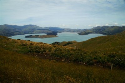 Near Christchurch