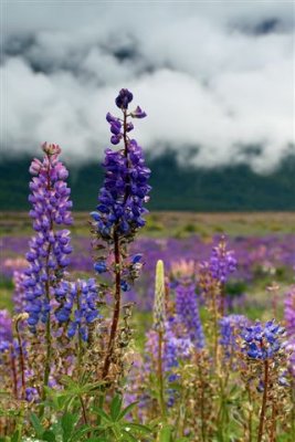 g6/23/578423/3/73549060.XN1W1R12.jpg