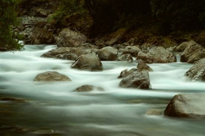 On the way to Milford Sound