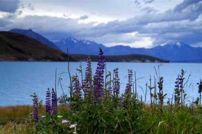 Lake Tekapo