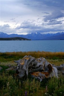 Lake Tekapo