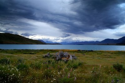 Lake Tekapo