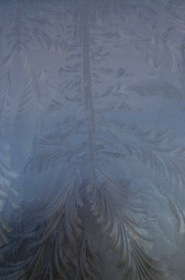 Frost art