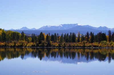 Fall colours near Tweedsmuir Park