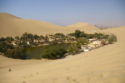 View of the oasis