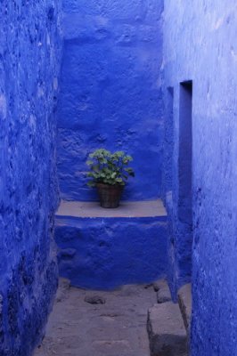 Coloured walls used to cut down on glare for nuns