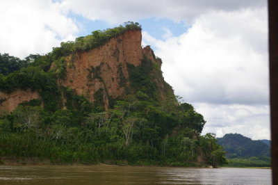 A cliffside used by parrots for nesting