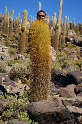 A rare humanoid cactus