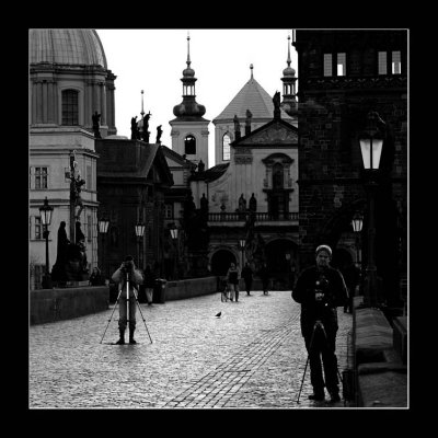 IMG_2011SQ.jpg