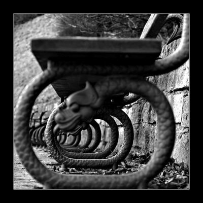 IMG_2281SQ.jpg