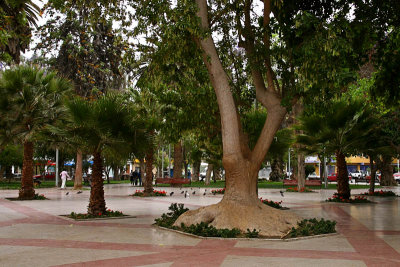 Copiapó 3