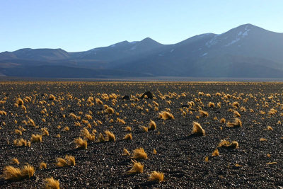 National Park Nevado de Trés Cruces 1