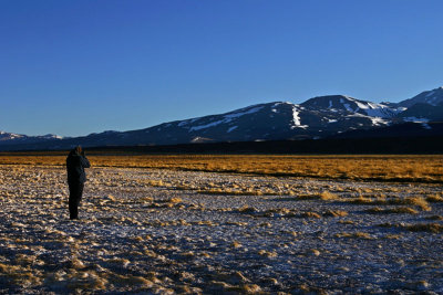 The photographer 4