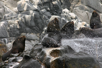 Pan de Azúcar 13