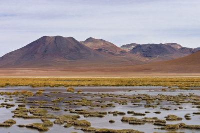 Atacama Desert Wetlands