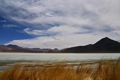 Bolivia - Laguna Blanca