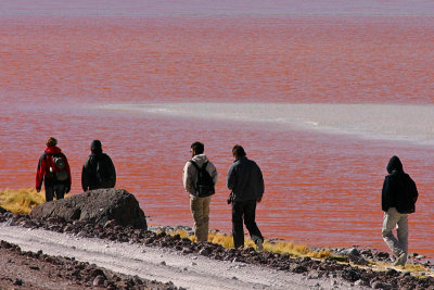 Bolivia - Laguna Colorada 4