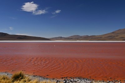 Bolivia - Laguna Colorada 6