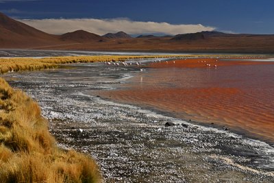 Bolivia - Laguna Colorada 9