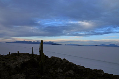 Bolivia - Isla Incahuasi, Salar de Uyuni 4