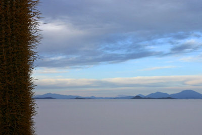 Bolivia - Isla Incahuasi, Salar de Uyuni 6